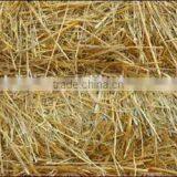 Good Quality Silage Making Machine Fodder Kneading/cutting Machine Grass/Straw Chopper Machine thumbnail-3