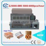 3000-5000pcs/hour Automatic Box Egg Tray Making Machine Factory Price thumbnail-2