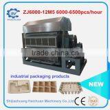 Recycled Paper Egg Tray Machine Paper Pulp Forming Molding Machine Egg Tray Production Line thumbnail-3