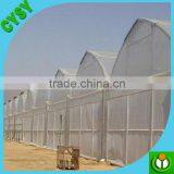 Best Selling Multi-span Standard Clear Greenhouse Film for Insulation in Winter thumbnail-3