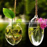 Hanging Glass Terrarium, Handblown Glass Terrarium