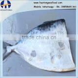 Frozen Moonfish 60-80g/pc HG Mene Maculata thumbnail-1