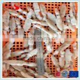 Frozen IQF North China Baby Squid thumbnail-1