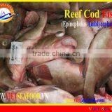 FROZEN REEF COD FISH WHOLE ROUND thumbnail-5