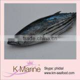 Frozen Live Fish Fresh Whole Tuna thumbnail-1