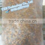 TB10/16K1 10UF 16V Foot Spacing 2.54mm Tantalum Capacitor With 0.1inch Spacing Radial Through Hole thumbnail-1