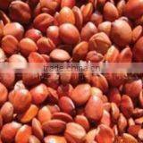 Herbal Extract Semen Ziziphi Spinosae P.E. thumbnail-1