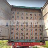 Pp Thread for Fishing Nets thumbnail-4