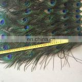 170cm five lines wholesale natural peacock feather wooden fan for party