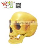 Best price Best Selling decorative halloween plastic toy skull