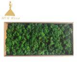 Hot Selling Green Moss Grass Wall for Decoration thumbnail-3