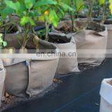 Heavy Duty Thickened White Felt Grow Bags thumbnail-5