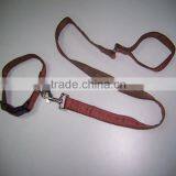 Pet Dog Collar thumbnail-1