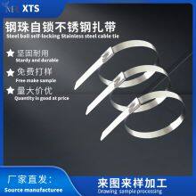 Stainless Steel Cable Tie of Steel Ball Self-locking in Material 304 thumbnail-2