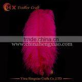Wholesale Cheap 55-60inch Ostrich Feather Fringe for Wedding Decoration thumbnail-3
