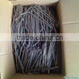 Common Wire Nails China Wholesales