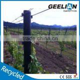China Factory Wholesale Cheap Fence Studded t Post thumbnail-2