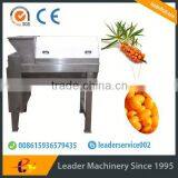 Leader High Efficiency Sea Buckthorn Fruit Juice Production Machine thumbnail-4