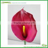 Real Touch Artificial Calla Lilies Wholesale Artificial Purple Lily thumbnail-2