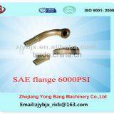 hydraulic pipe fittings/SAE 6000 PSI Flange