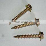 Hex Flange Head Self Tapping Screw