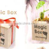 Customed Logo Magic Message Bean in Wooden Box thumbnail-6