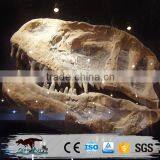 OA-SD-L35 Museum Exhibition Equipment Dinosaur Skull thumbnail-2
