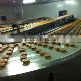 Cookies Cooling Conveyor System thumbnail-4