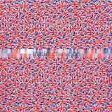 Water Transfer Printing Film GWN937 WIDTH 50CM