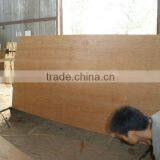 Best Bintangor Face Plywood thumbnail-1