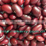 Small Red Kidney Beans thumbnail-1