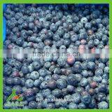 IQF Frozen Chinese China Best Quality Better Quality Wild Blueberry Blueberries thumbnail-2