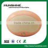 2014 Cute Raccoon Decorative Motion Sensor Led Night Light for Children