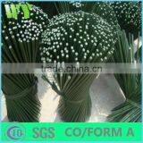 WY-CC 205 Safe Square Heart-shaped Dry Flower Bamboo Sticks for Garden Decoration thumbnail-2