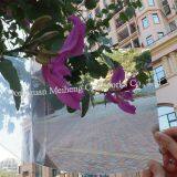 High Quality PVC Plastic Mirror Sheet/Panel/Board thumbnail-5