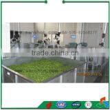 Sanshon Price of STJ-I Box Type Industrial Vegetable Dryer Machinery thumbnail-2