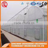 China Direct Plastic Greenhouse for Agricultural Farming thumbnail-6