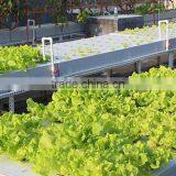 Agricultural Greenhouse Hydroponic Garden Flat System thumbnail-1