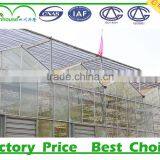 Price of Agricultural Greenhouses thumbnail-2