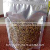 Import China Products Dried Mealworms Of Bird Food thumbnail-2