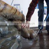 Large Animal Garden Sculpture Marble Tiger Statue for Sale thumbnail-4