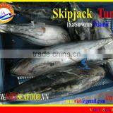 FROZEN WHOLE ROUND SKIPJACK TUNA