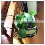 Hanging Flower Plant Pot Holder/hanging Plant Pot Holder/hanging Metal Plant Pot Holder thumbnail-4