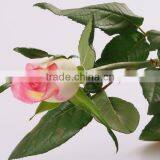 Cheap Wholesale Natural Fresh Cut Rose Flower Sweet Pink 20Stems/Bundle Export Flower Wholesale From China thumbnail-1