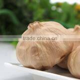 [HOT]Many Heads Black Garlic--HC Company thumbnail-2