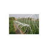 Concertina Coils thumbnail-1