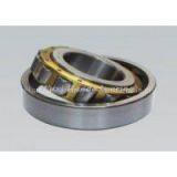 NU, NJ, NUP and N Designs Single Row Cylindrical Roller Bearings thumbnail-1