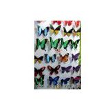 Home decoration Imitation Butterfly