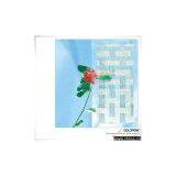 Patterned Glass(building Glass) thumbnail-1