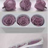 Beautiful Blue Rose for Floral Design Flowers Preservation for Anniversary Decoration thumbnail-2